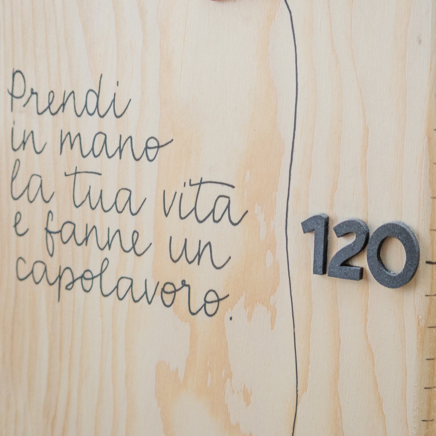 Metro crescita coniglio